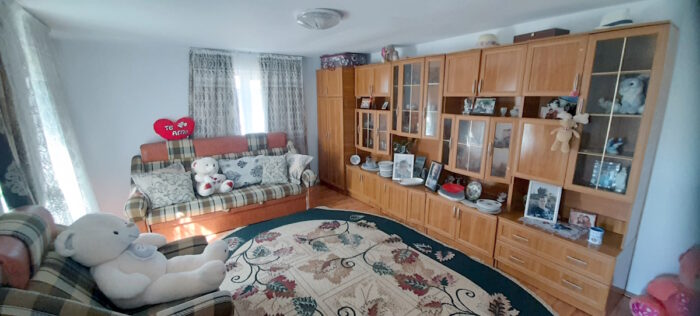 Casa 6 camere _Ivesti_living 2