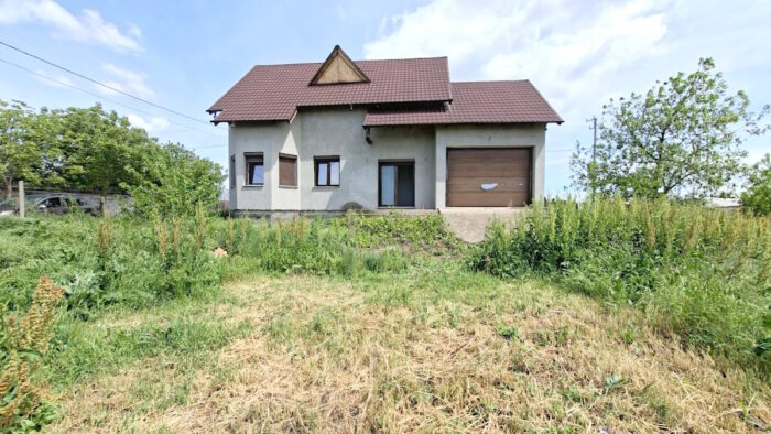 Casă tip vilă cu teren 2426 mp în comuna Matca_exterior curte 1